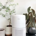 Is it Worth Investing in Expensive Air Filters?