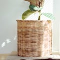 How Air Purifiers Can Improve Your Health and Well-Being