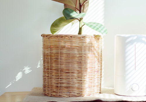 How Often Should You Run an Air Purifier?